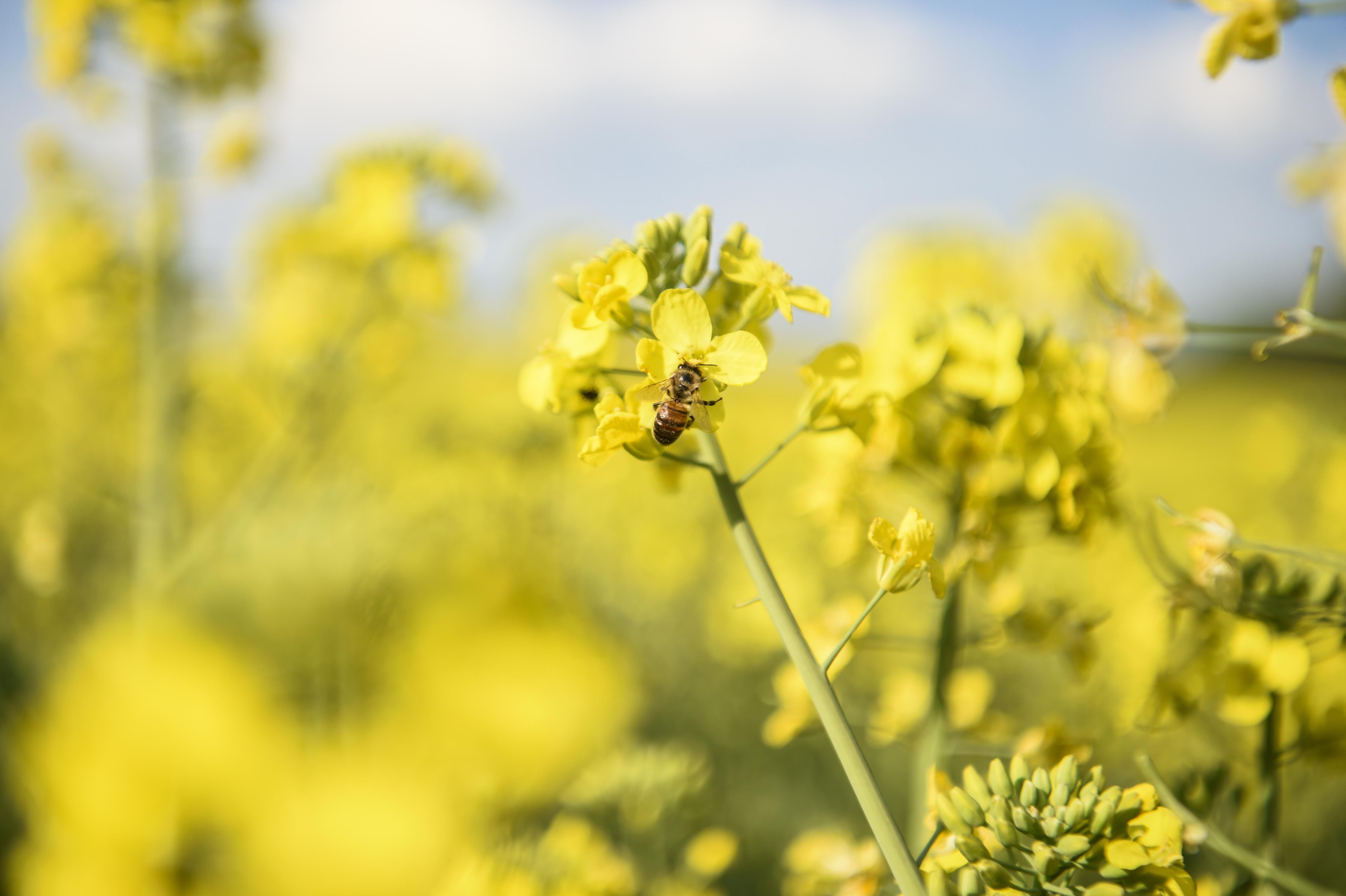 Погода 14 мая 2021: прогноз от синоптиков Украины Погода 14 мая 2021: прогноз от синоптиков Украины