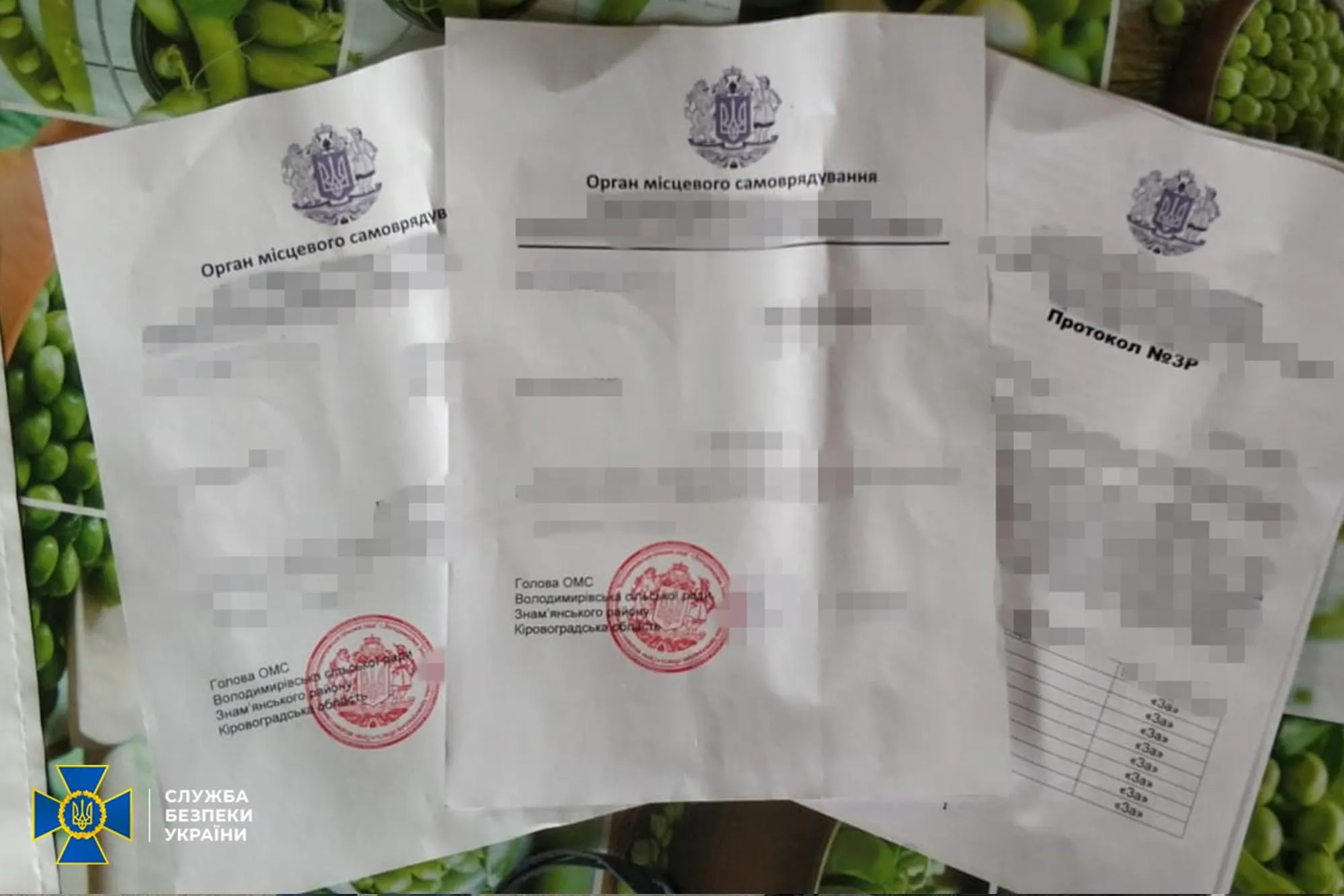 СБУ викрила зловмисників на Кіровоградщині СБУ викрила зловмисників на Кіровоградщині