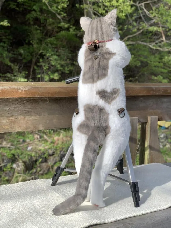 У вигляді абсолютно натурального кота: в Японії створили незвичайний рюкзак