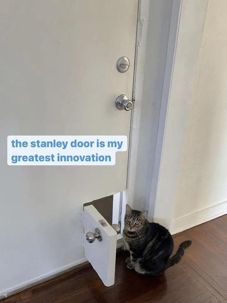 Парень сам сделал для своего котика эту милую дверцу