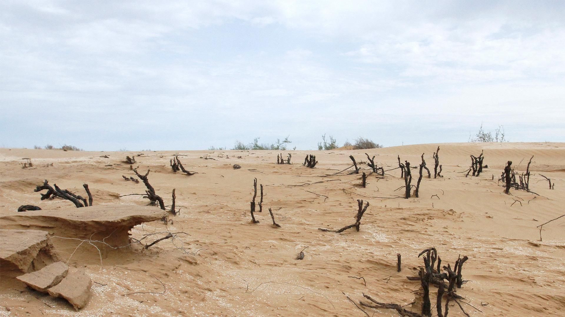Калмыкия: как Россия теряет южные степи Калмыкия: как Россия теряет южные степи