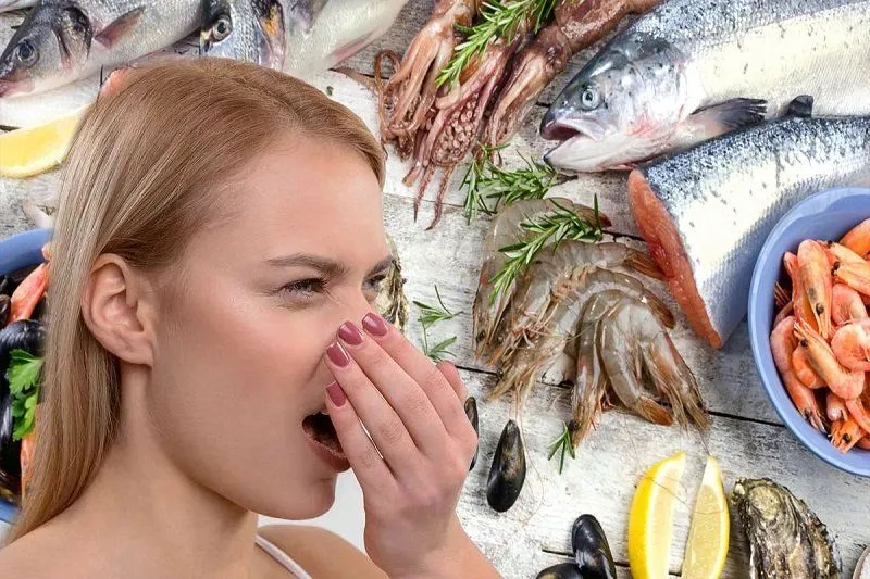 Запах їжі Запах їжі