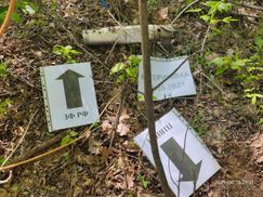 Бойовики обстріляли Катеринівку з реактивних вогнеметів, які використовували у Чечні