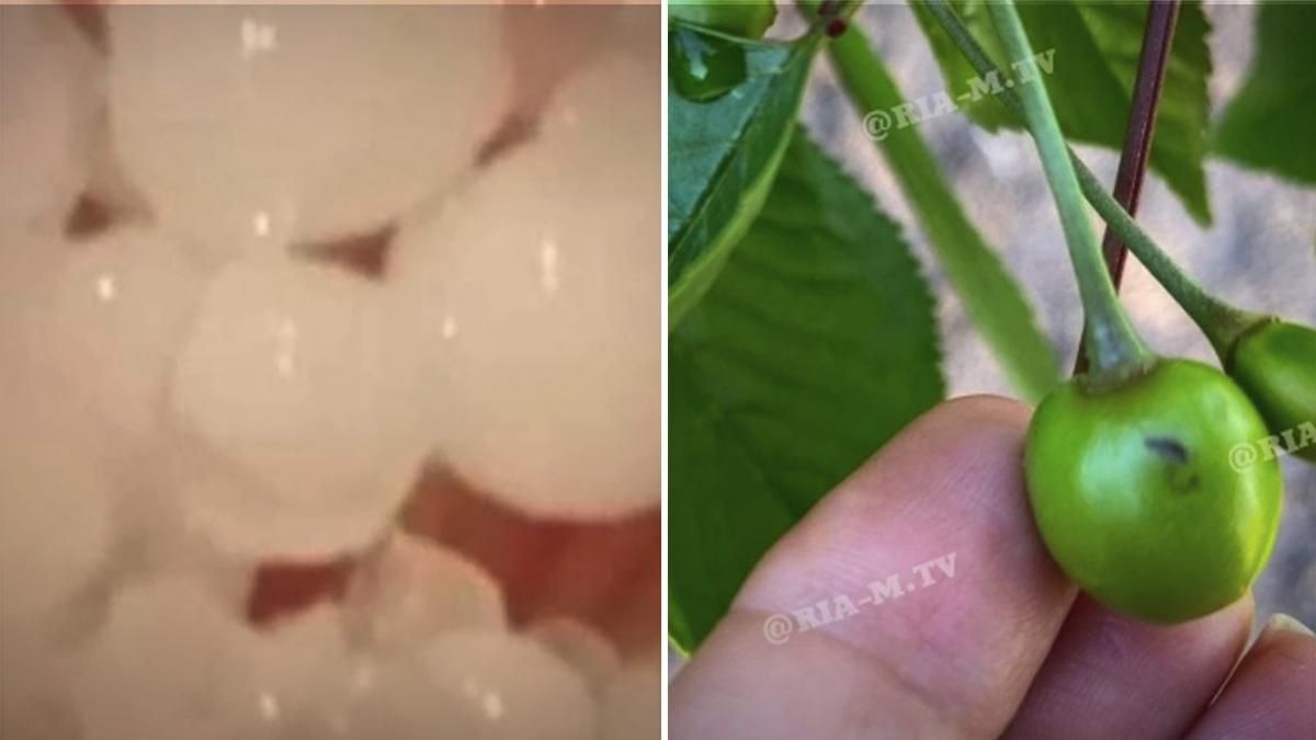 Под Запорожьем 17 мая пронесся крупный град фото, видео Под Запорожьем 17 мая пронесся крупный град фото, видео