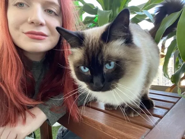 Дівчина доглядала за котами по всьому світу, поки господарі були відсутні Дівчина доглядала за котами по всьому світу, поки господарі були відсутні