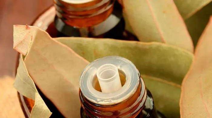 Дихати евкаліптом Дихати евкаліптом