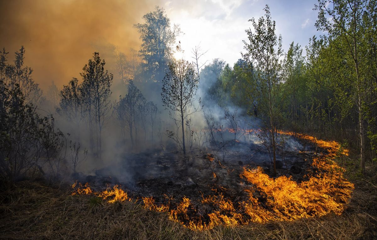 У Росії не вщухають лісові пожежі: є постраждалі – фото