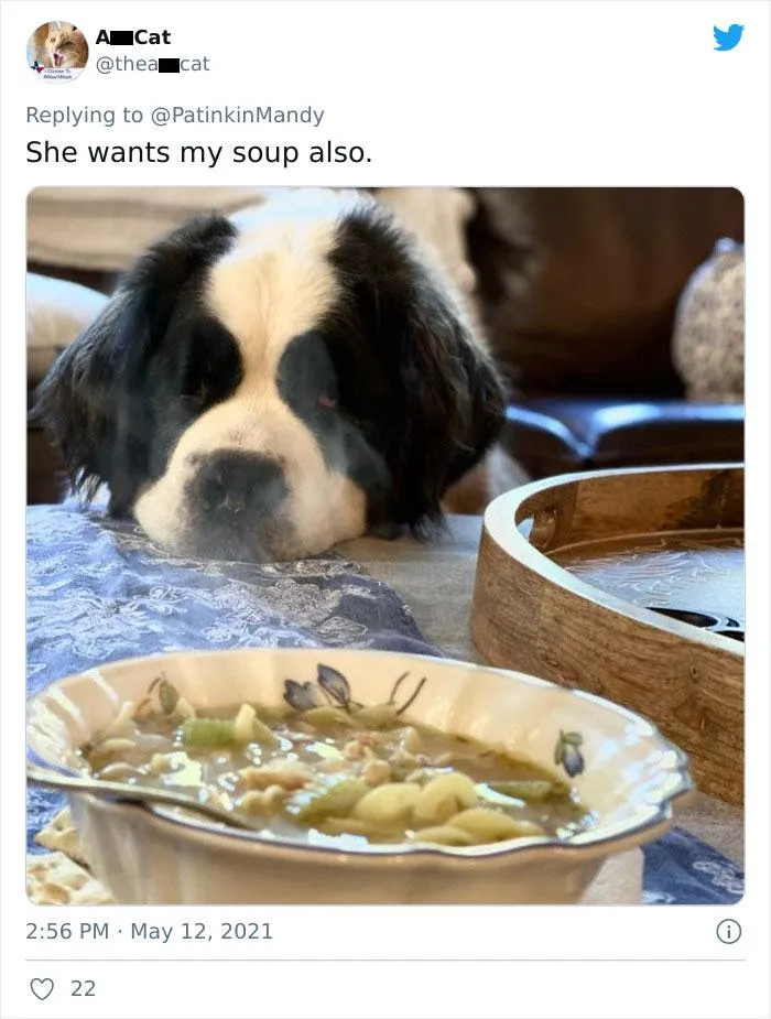 Просить суп