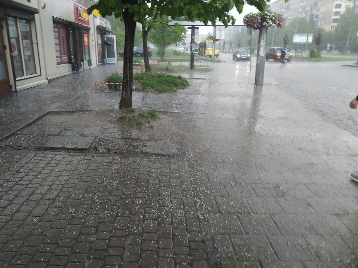 Величиной с горошину: Львов обильно засыпало градом - фото и видео Величиной с горошину: Львов обильно засыпало градом - фото и видео