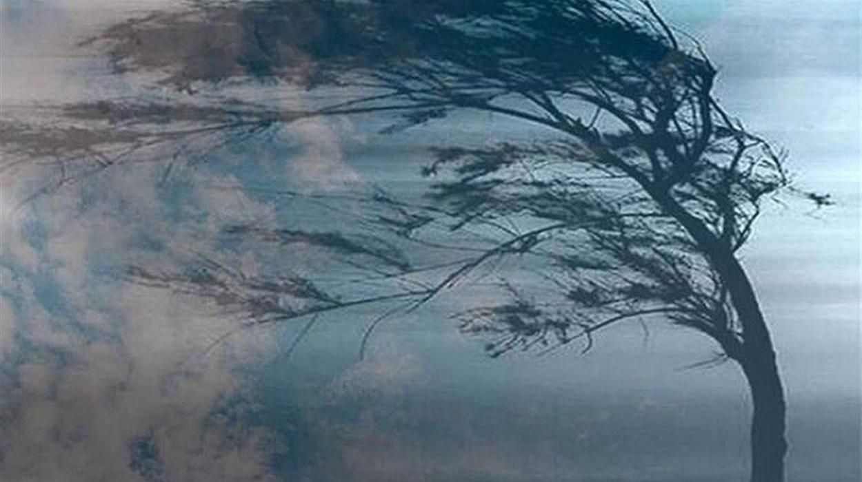 Непогода накрыла Украину: на Херсонщине ураган срывал крыши Непогода накрыла Украину: на Херсонщине ураган срывал крыши