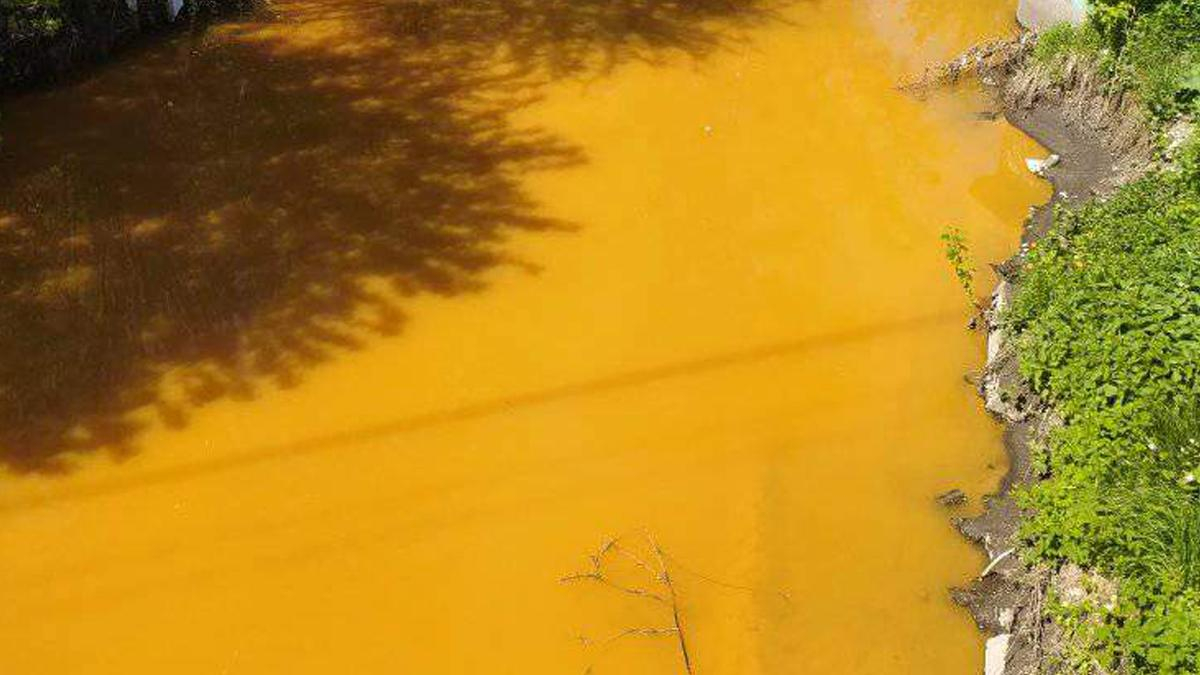 В Киеве река Лыбидь стала желтой: появились результаты анализа воды