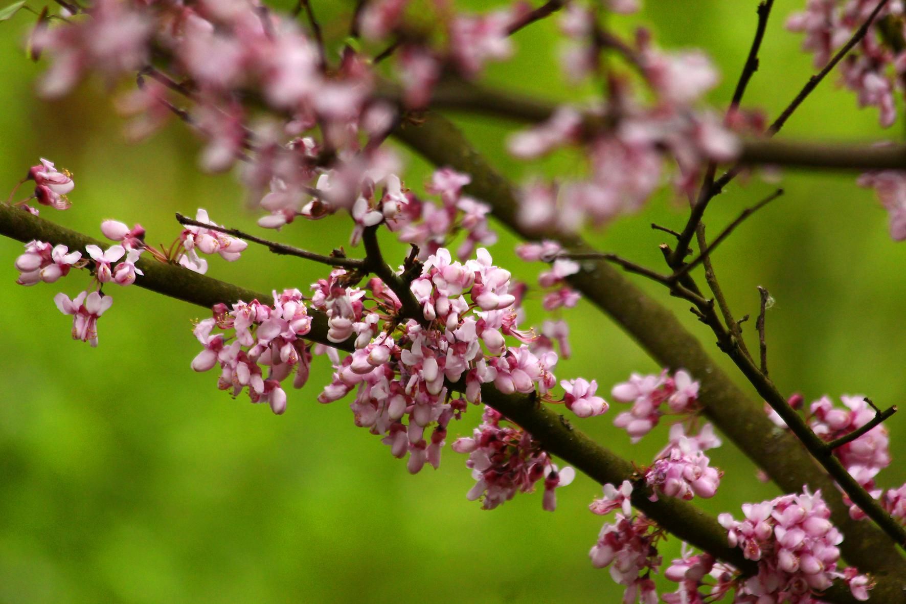 Погода 20 травня 2021: прогноз від синоптиків України Погода 20 травня 2021: прогноз від синоптиків України