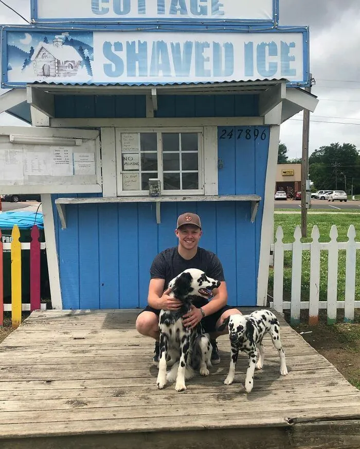 Ендрю і далматинці Ендрю і далматинці