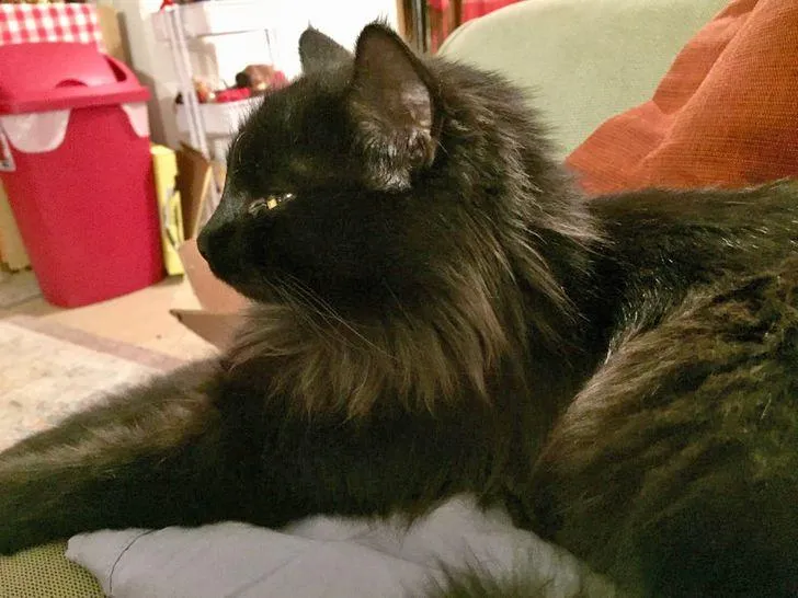 Фото TanichcaF / Reddit Фото TanichcaF / Reddit