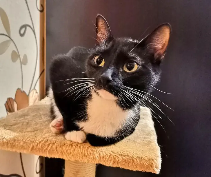 Фото Мария Петроченко / Facebook Фото Мария Петроченко / Facebook