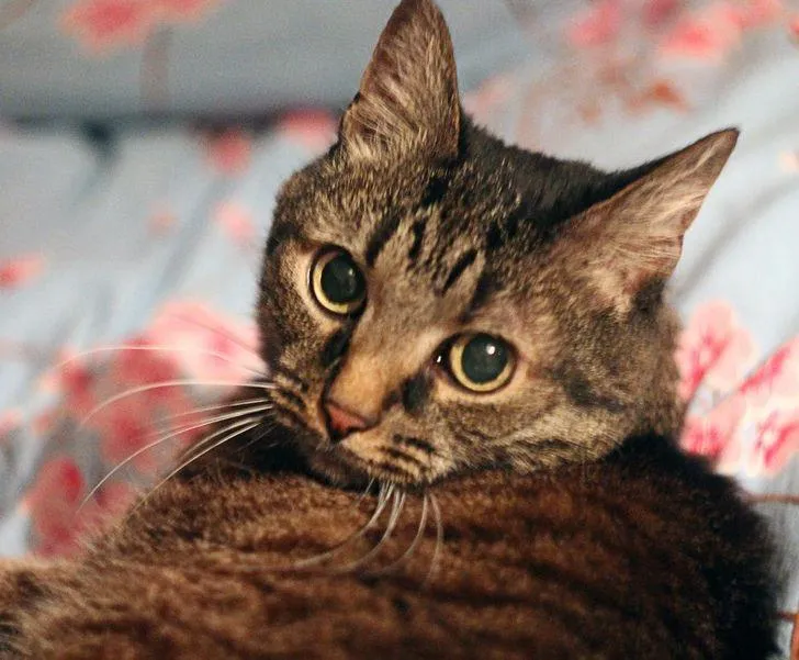 Фото AdMe Фото AdMe