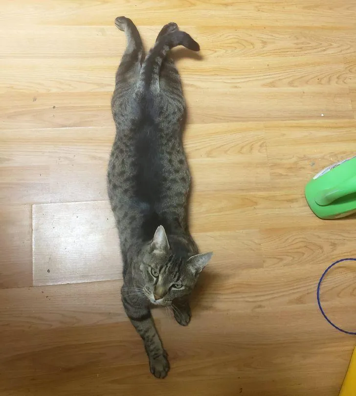 Фото Sunshine Michener / Facebook Фото Sunshine Michener / Facebook