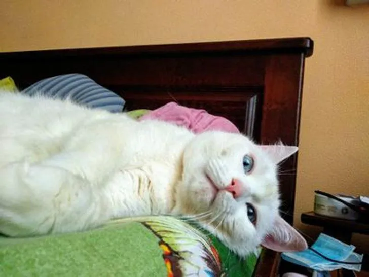 Фото Muwys / AdMe Фото Muwys / AdMe