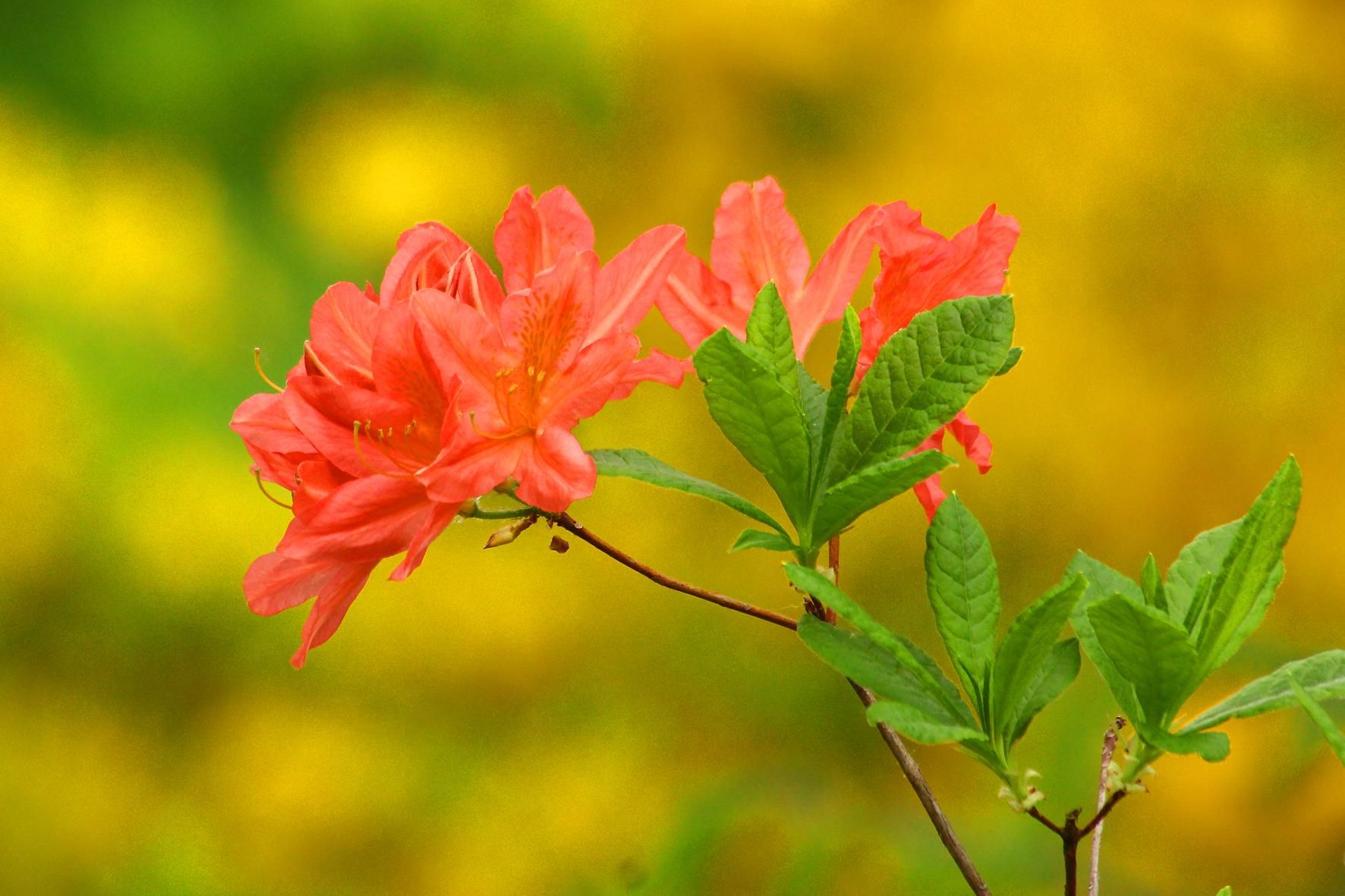 Погода 26 мая 2021: прогноз от синоптиков Украины Погода 26 мая 2021: прогноз от синоптиков Украины