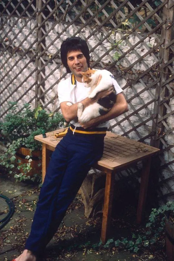 Фредди обожал кошек