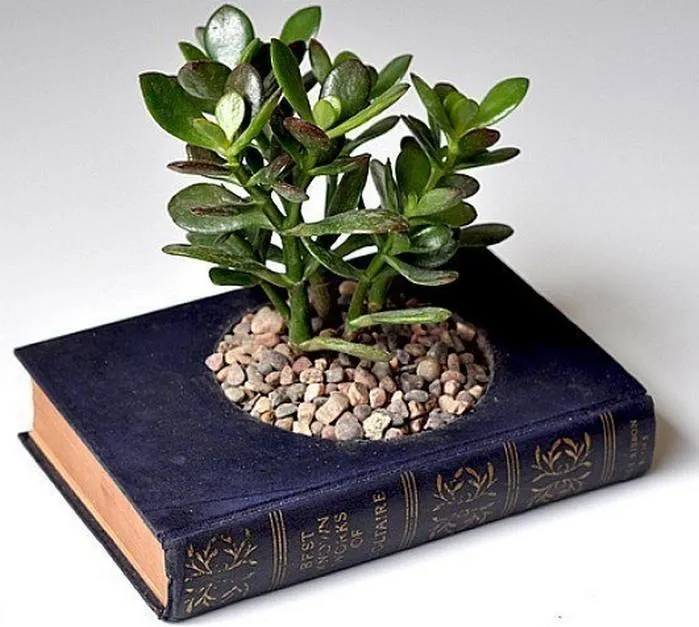 Горщик для квітів Горщик для квітів