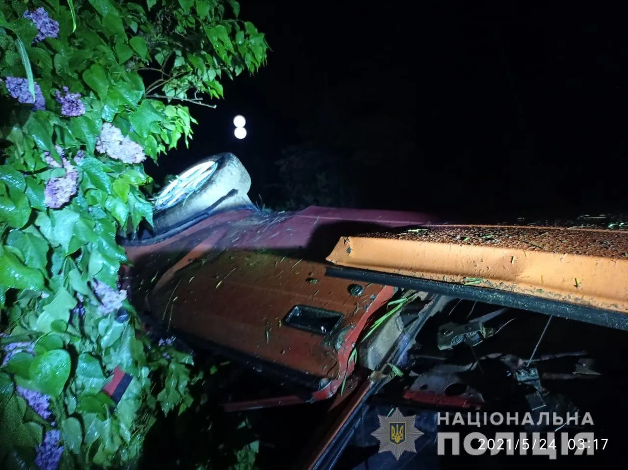 На Львівщині авто п'яного водія вилетіло в кювет і перекинулось: постраждали неповнолітні