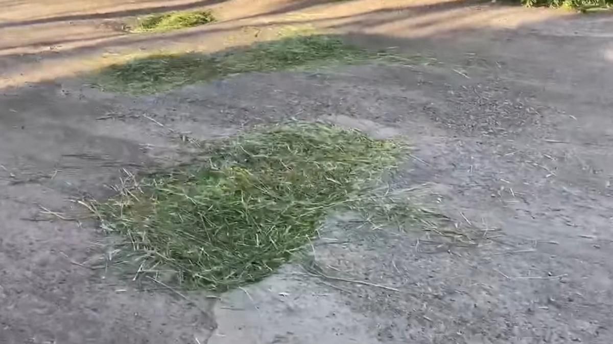 Эко-заплаты вместо асфальта: ямы блия Кривого Рога залатали травой Эко-заплаты вместо асфальта: ямы блия Кривого Рога залатали травой