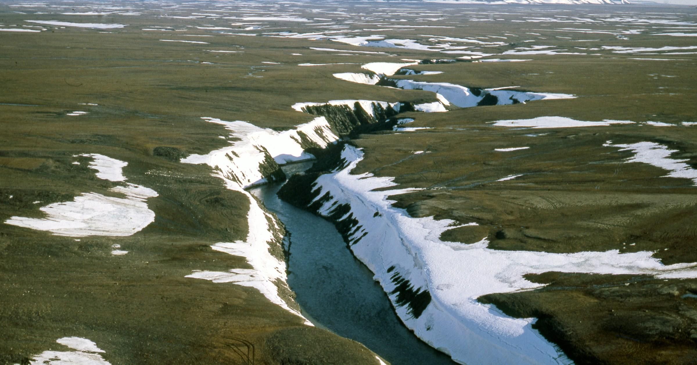 Арктика б'є температурні рекорди в травні 2021: до 30 градусів тепла