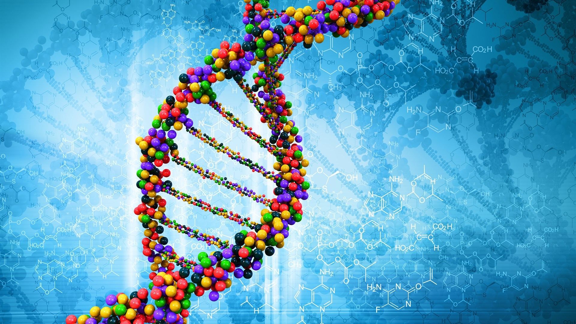 Найдены гены, которые обеспечили превосходство над неандертальцами Найдены гены, которые обеспечили превосходство над неандертальцами