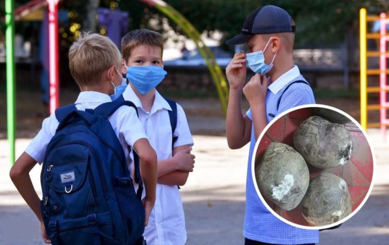 У школах Миколаєва дітей годували продуктами з цвіллю: фото