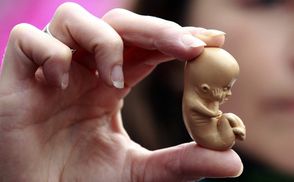 Зняли жорсткі обмеження на досліди над людськими ембріонами