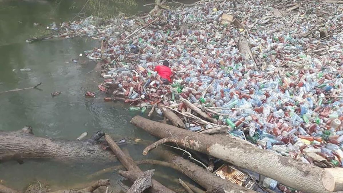 80% сміття румунського походження потрапило до Угорщини по Тисі 80% сміття румунського походження потрапило до Угорщини по Тисі