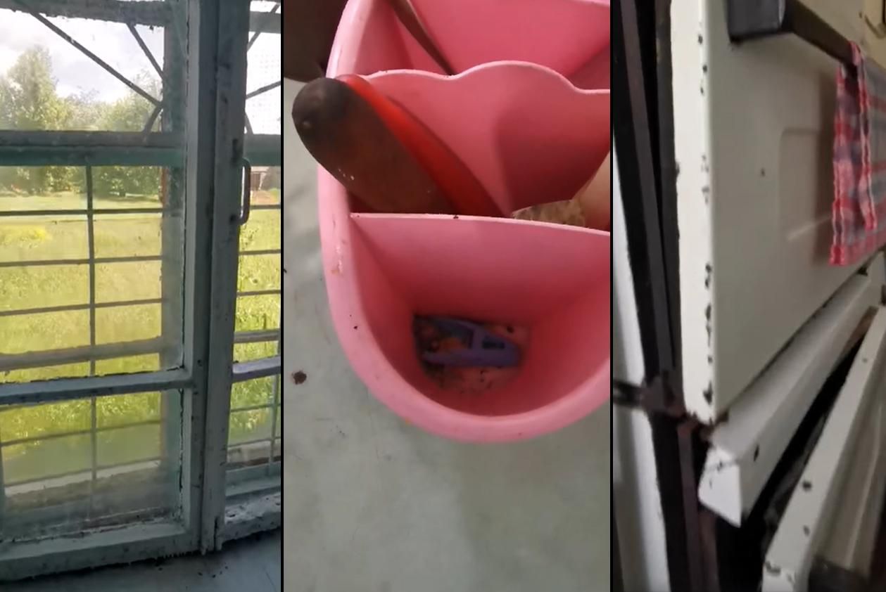 Тараканов, плесень и мышей обнаружили в садах и школах Херсона: видео Тараканов, плесень и мышей обнаружили в садах и школах Херсона: видео