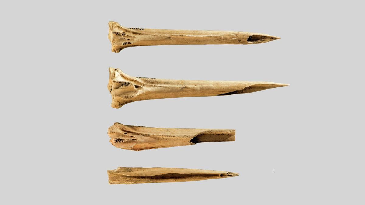 Археологи обнаружили древнейшие инструменты для татуировок