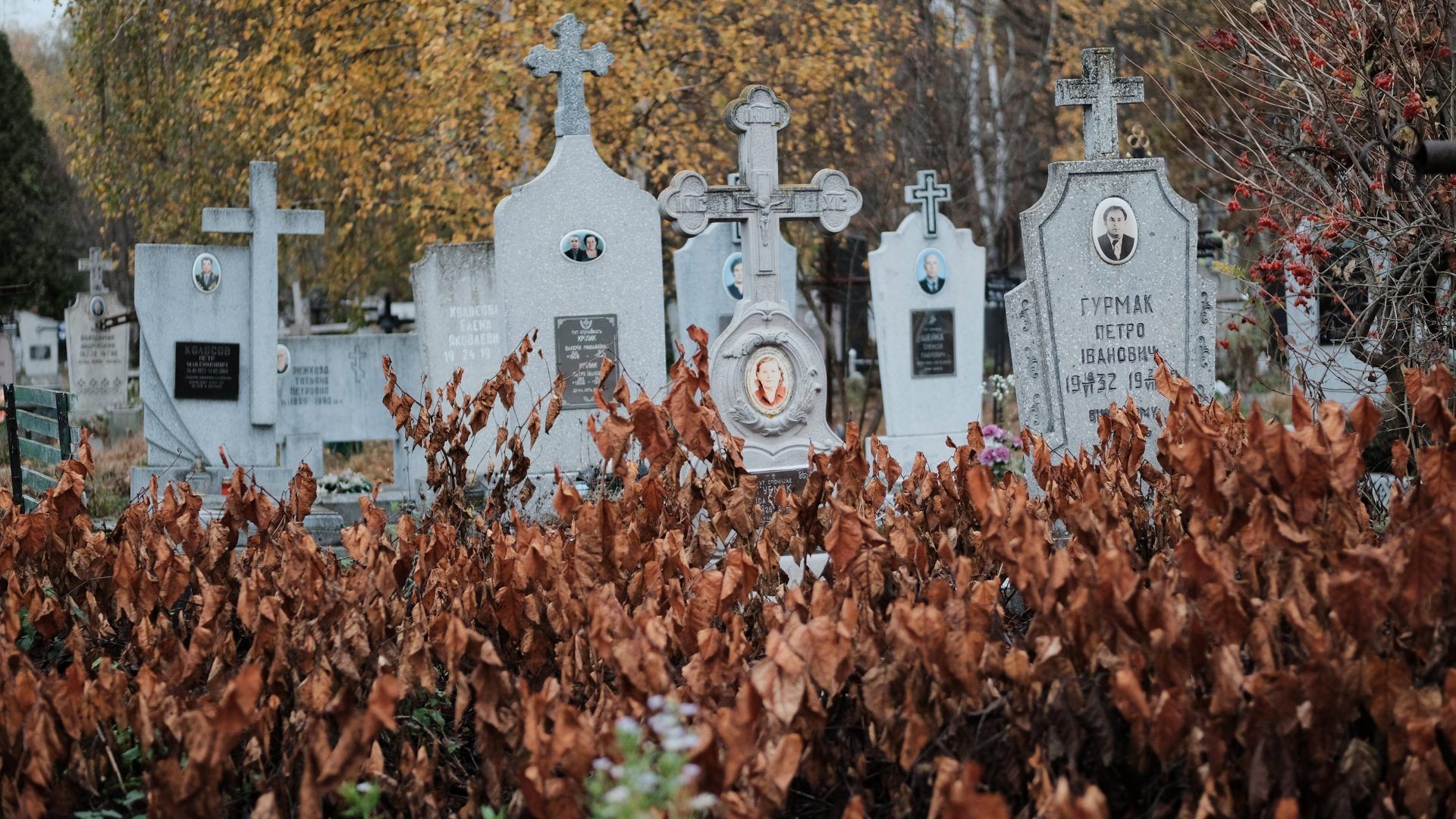 На Одещині стріляли на кладовищі та поранили старенького сторожа