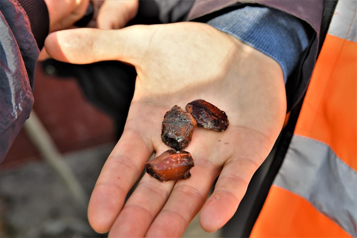 На Ровенщине начали легально добывать янтарь На Ровенщине начали легально добывать янтарь