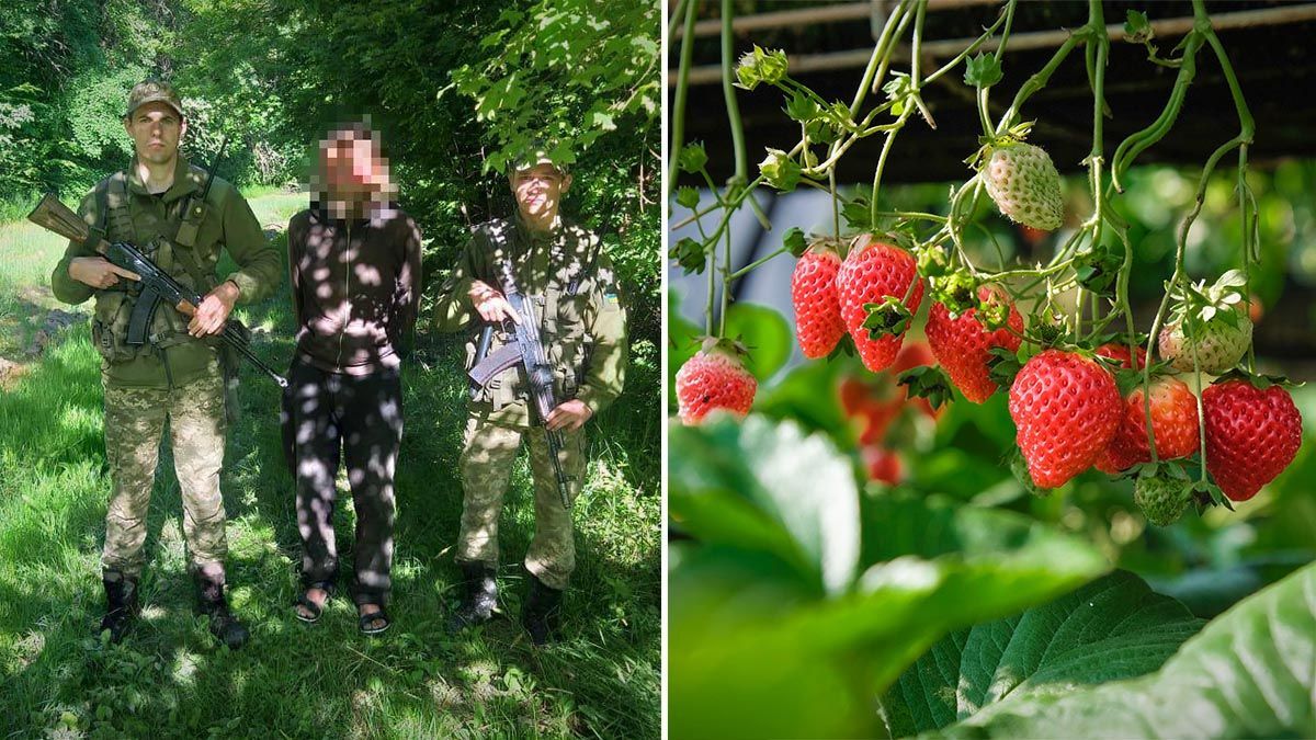 Поляка, який хоче збирати полуницю в Україні, знову затримали