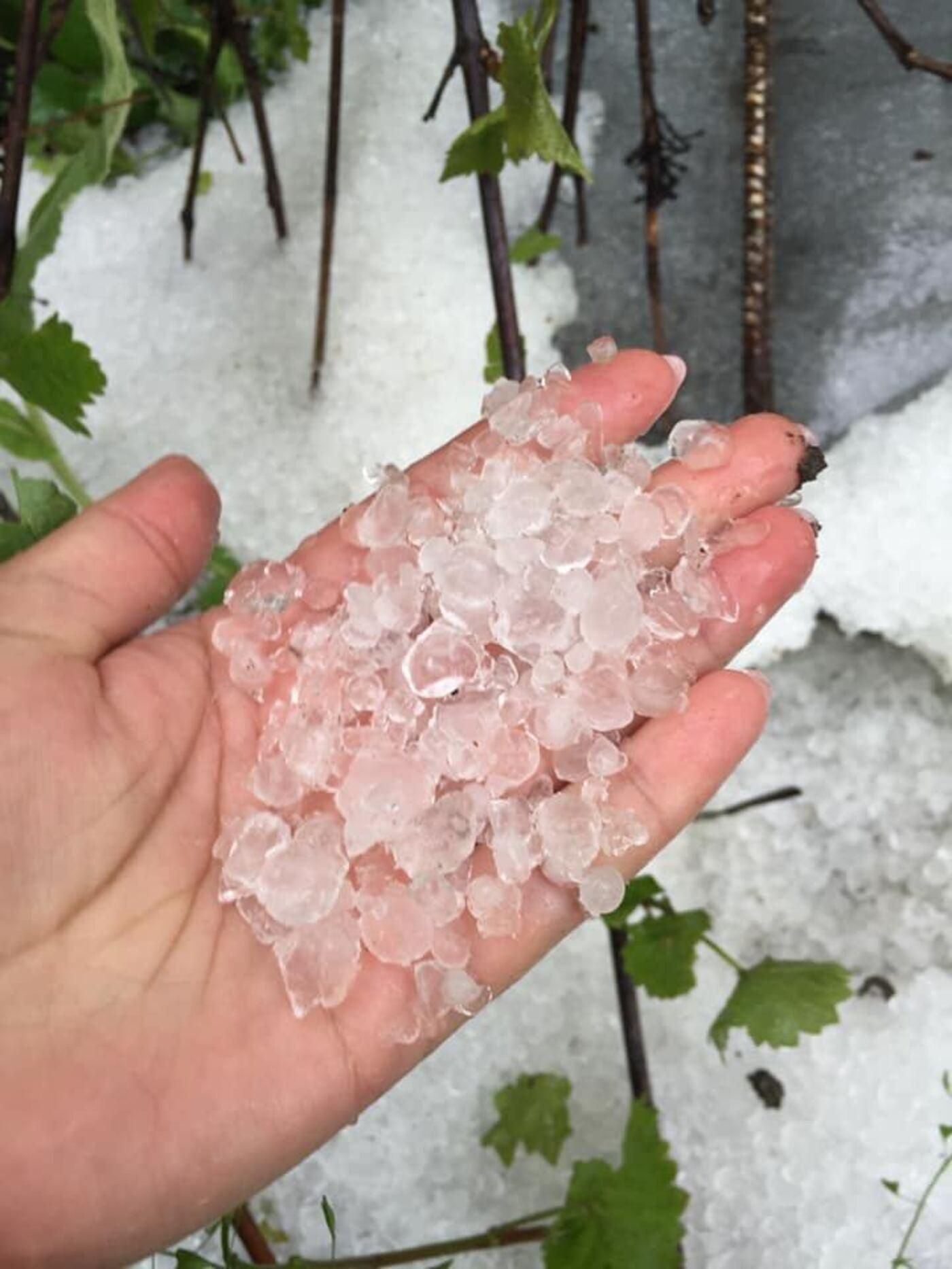 Жителі Київщини діляться світлинами негоди Жителі Київщини діляться світлинами негоди