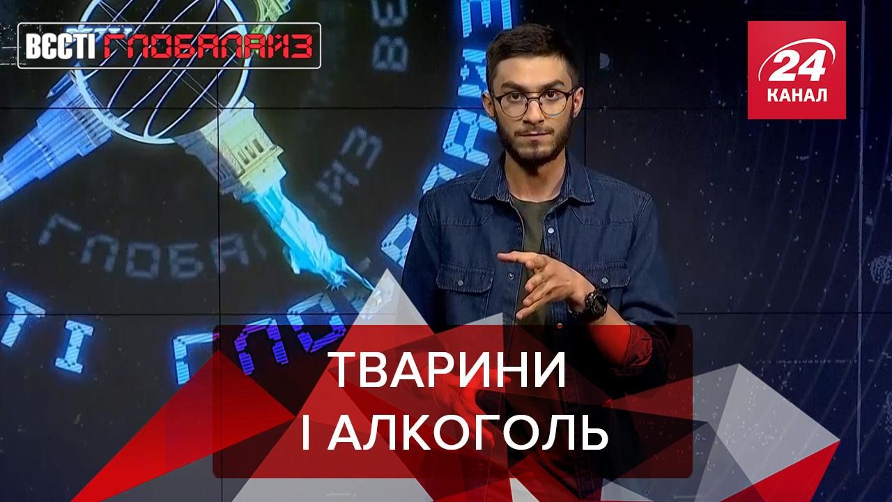 Вести Глобалайз: из-за алкоголя животные могут умереть Вести Глобалайз: из-за алкоголя животные могут умереть