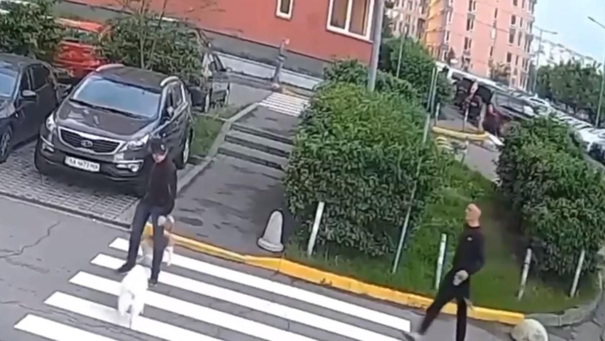 У Києві вигул собак закінчився масовою бійкою: епічне відео У Києві вигул собак закінчився масовою бійкою: епічне відео