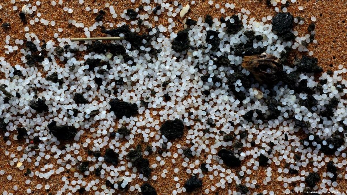 На Шри-Ланке собирают кучи мусора после пожара судна На Шри-Ланке собирают кучи мусора после пожара судна