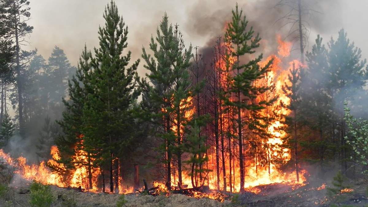 В 3 областях Украины объявили чрезвычайный уровень пожарной опасности