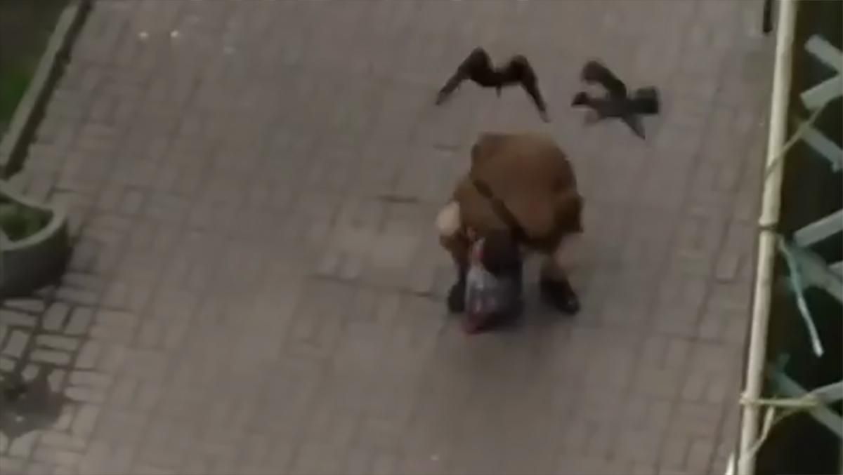 На чоловіка в Києві напали ворони: відео На чоловіка в Києві напали ворони: відео