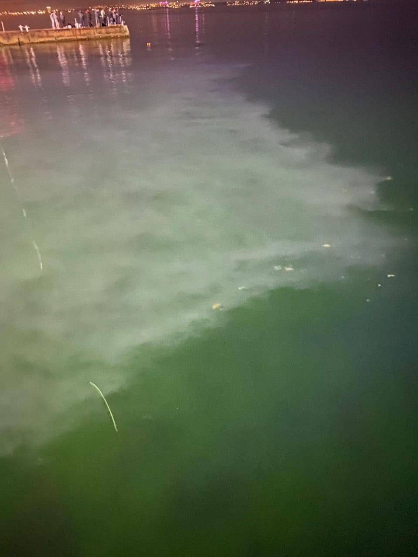 Одесскую гостиницу Немо обвинили в сливе канализации в море Одесскую гостиницу Немо обвинили в сливе канализации в море