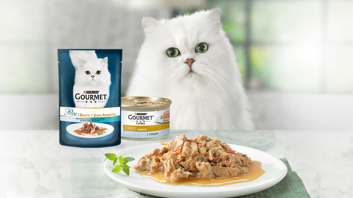 Акция от GOURMET™: регистрируй чеки и выигрывай ценные призы