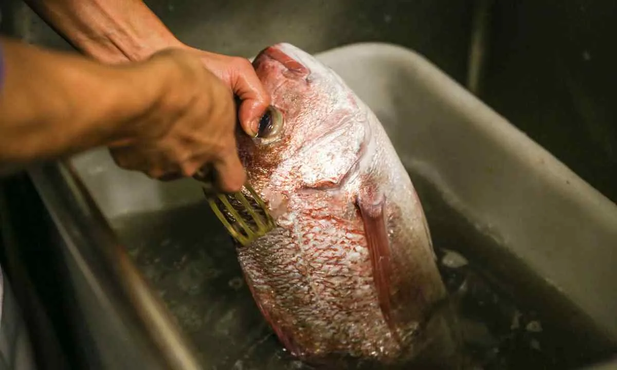 Чистити рибу у воді Чистити рибу у воді