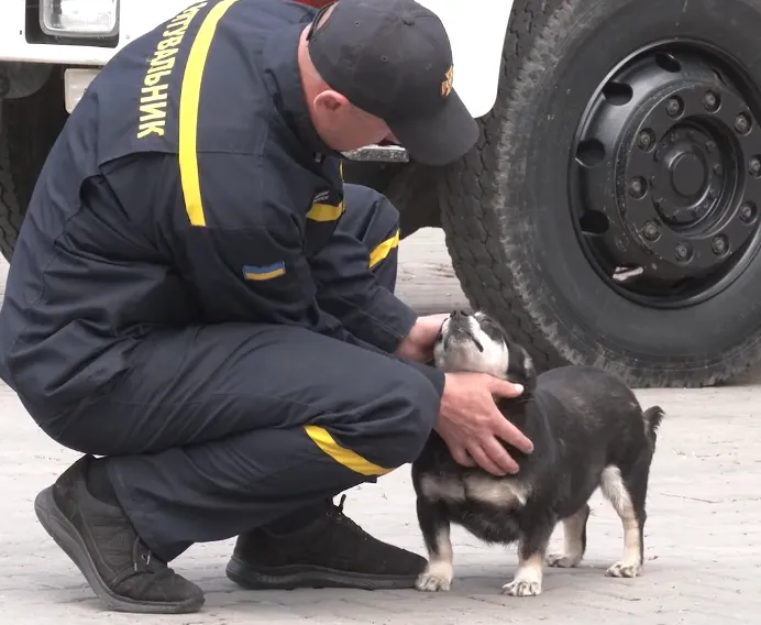Собака зі своїм опікуном Собака зі своїм опікуном