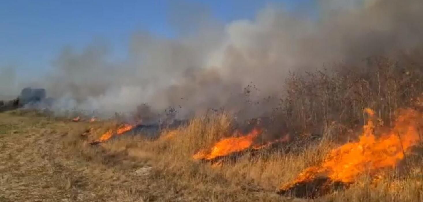 В Израиле из-за аномальной жары бушуют масштабные пожары: видео