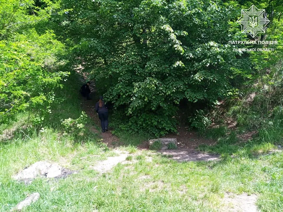 Збентежено бігали вулицями: у Львові патрульні врятували дику качку з каченятами – фото Збентежено бігали вулицями: у Львові патрульні врятували дику качку з каченятами – фото