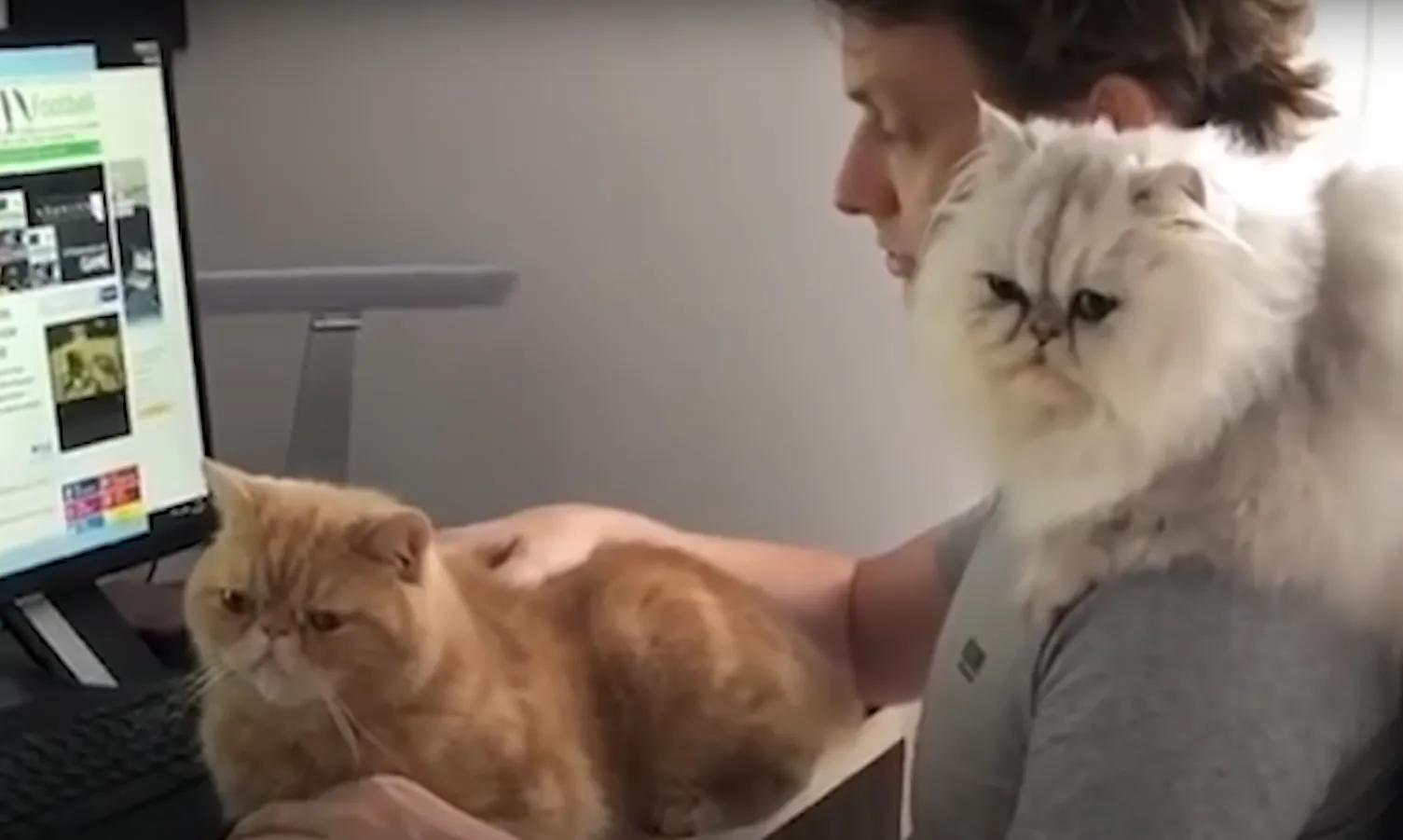 Так власнику доводиться працювати з дому Так власнику доводиться працювати з дому